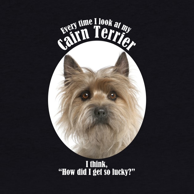 Lucky Cairn Terrier by You Had Me At Woof